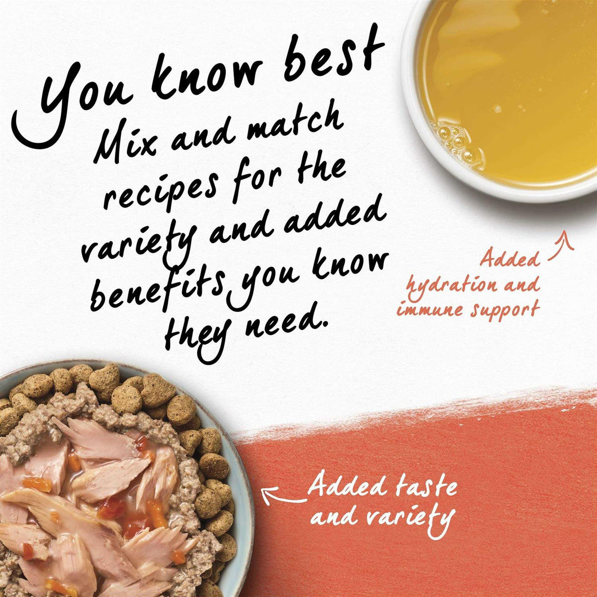 Organic Chicken Recipe Wet Dog Food K218