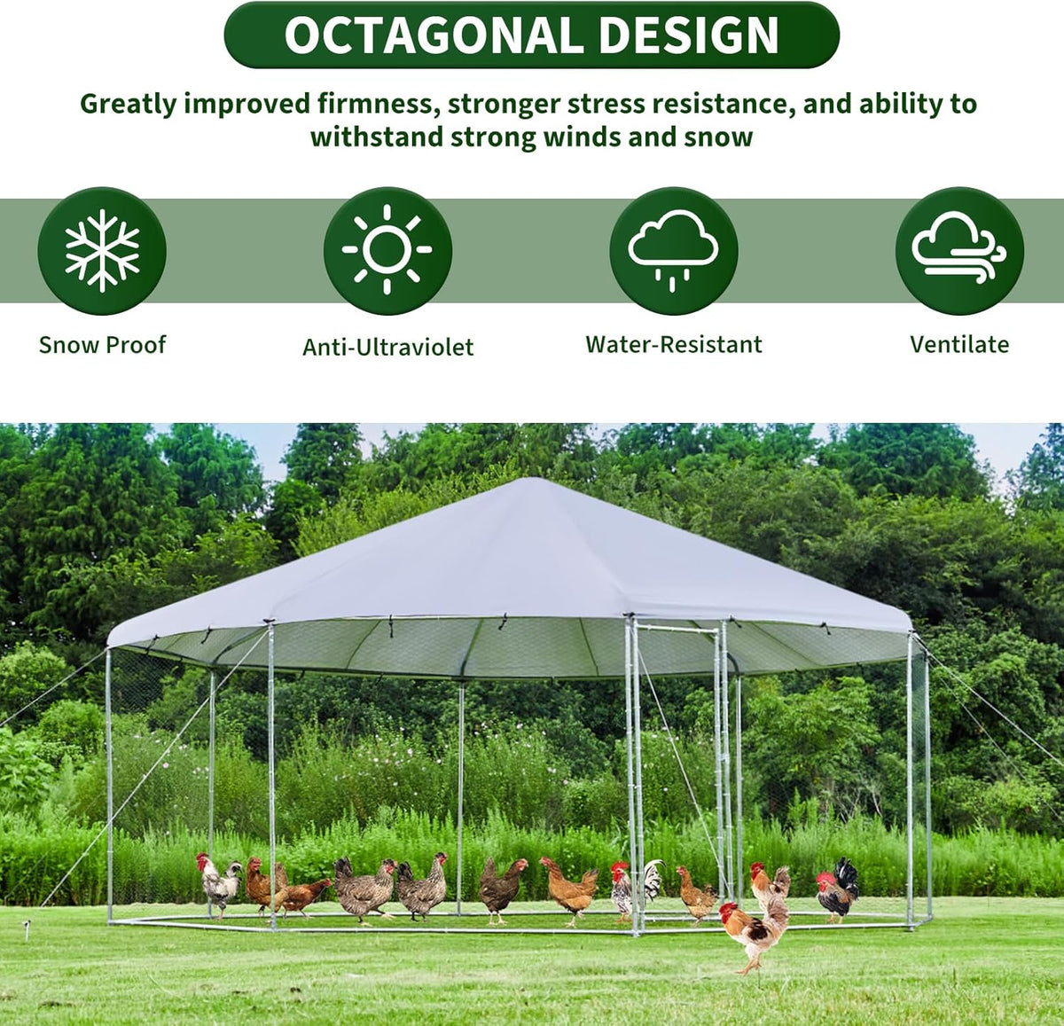 Large Octagon Chicken Coop with Galvanized Steel Frame F591688