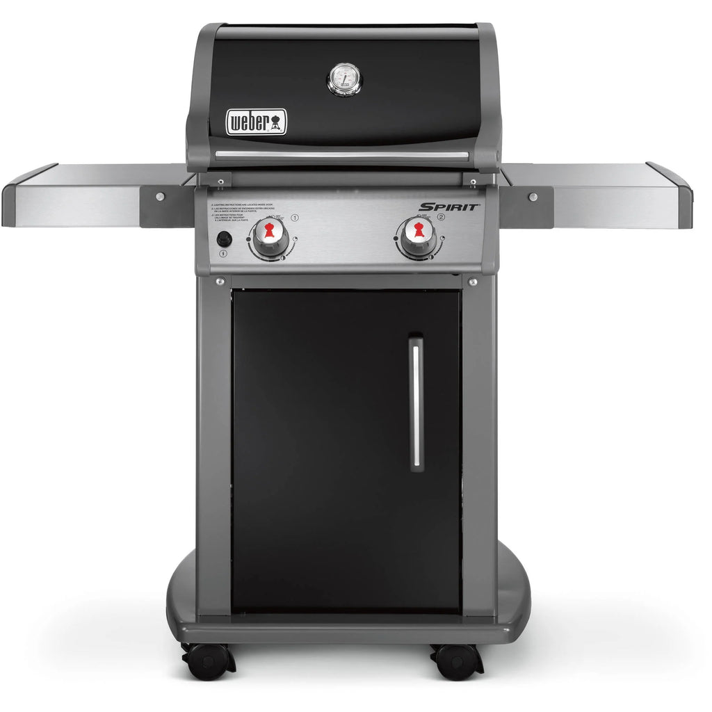 2-Burner Liquid Propane Gas Grill in Black D448876
