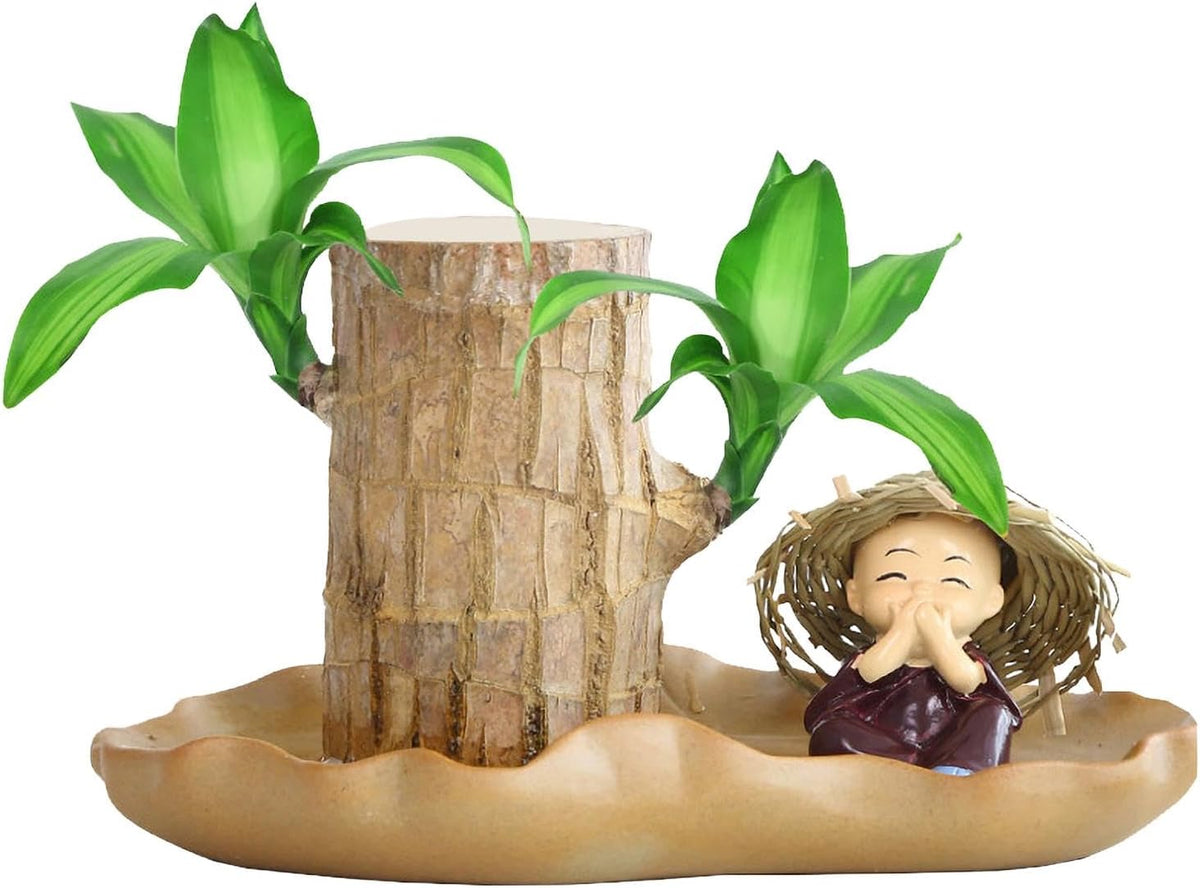 Brazilian Wood Plant V31581