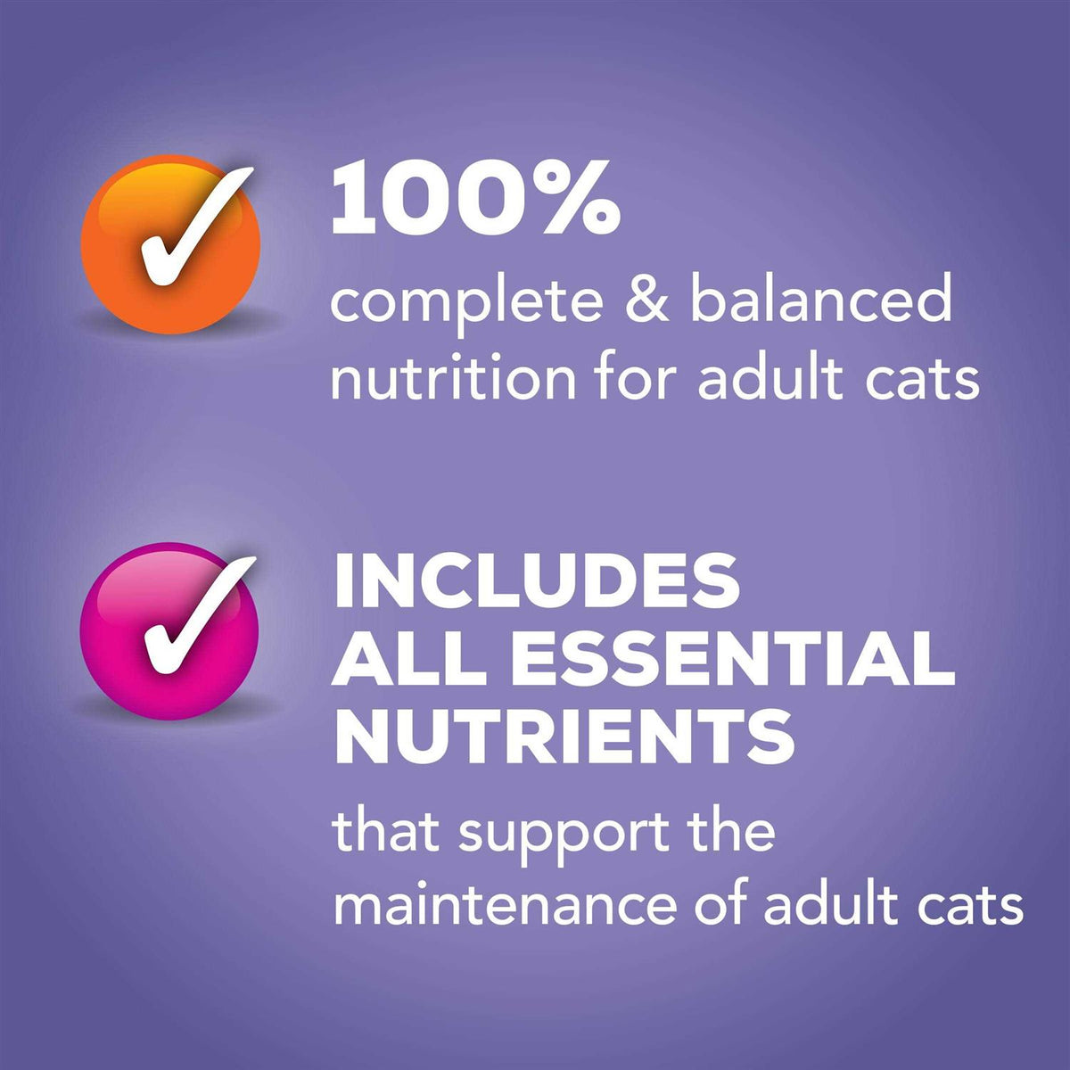 Seafood & Chicken Pate Variety Pack Wet Cat Food P7735