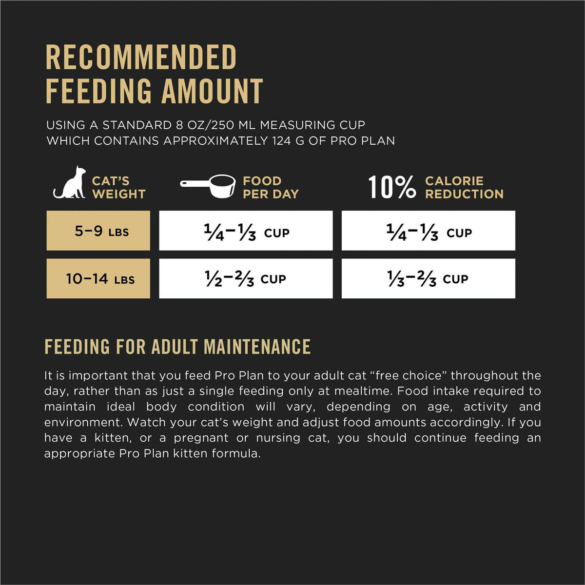 Salmon & Rice Formula Dry Cat Food H723327