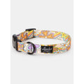 Dog Collar A24780