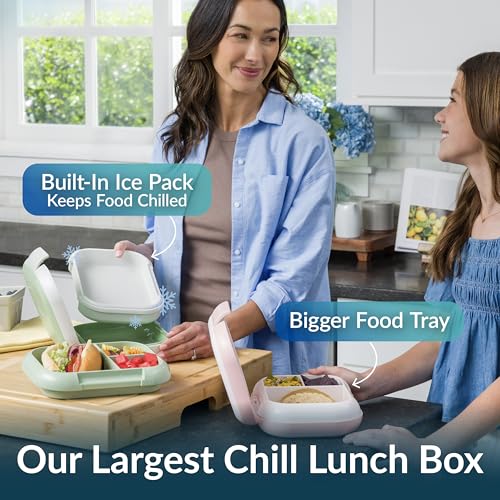 XL Leak-Proof Bento Lunch Box with Ice Pack, 5-Cup, 3 or 4 Compartment, BPA-Free, Dishwasher Safe P138