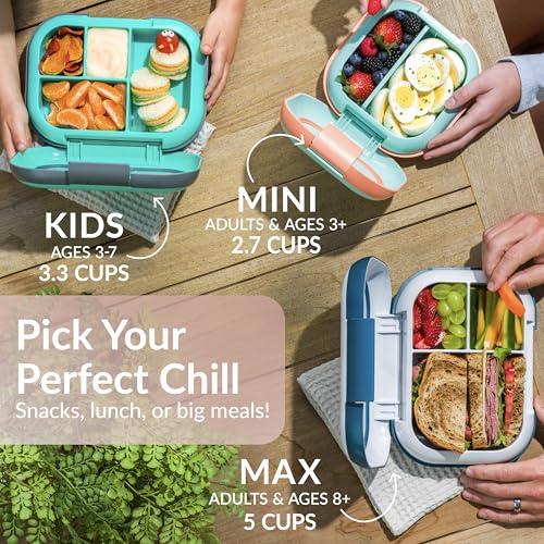 XL Leak-Proof Bento Lunch Box with Ice Pack, 5-Cup, 3 or 4 Compartment, BPA-Free, Dishwasher Safe P138