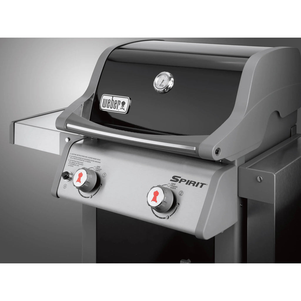 2-Burner Liquid Propane Gas Grill in Black D448876
