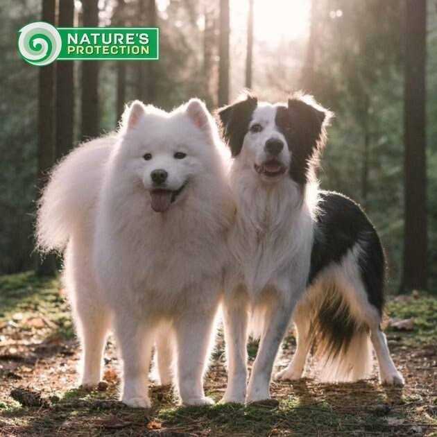 Grain Free Dry Dog Food E811