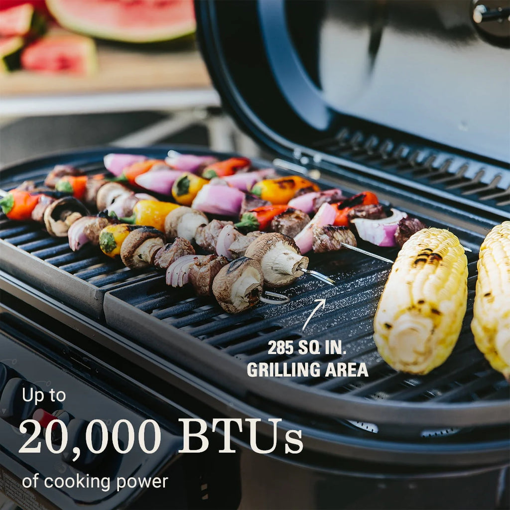 Standup Propane Gas Grill G9489