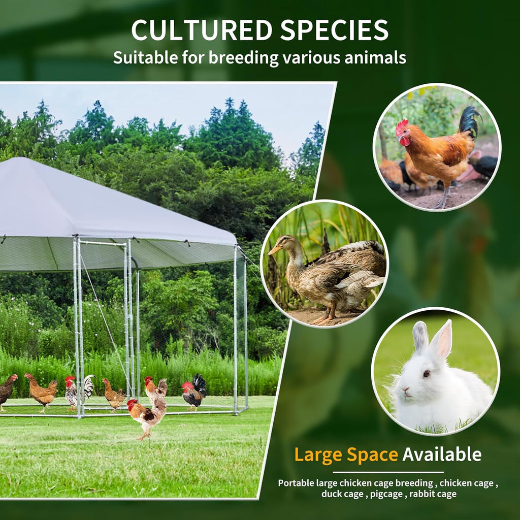 Large Octagon Chicken Coop with Galvanized Steel Frame F591688
