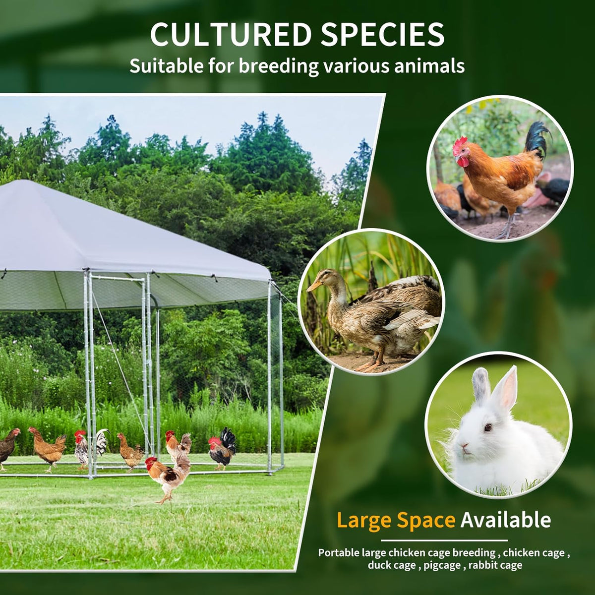 Large Octagon Chicken Coop with Galvanized Steel Frame F591688