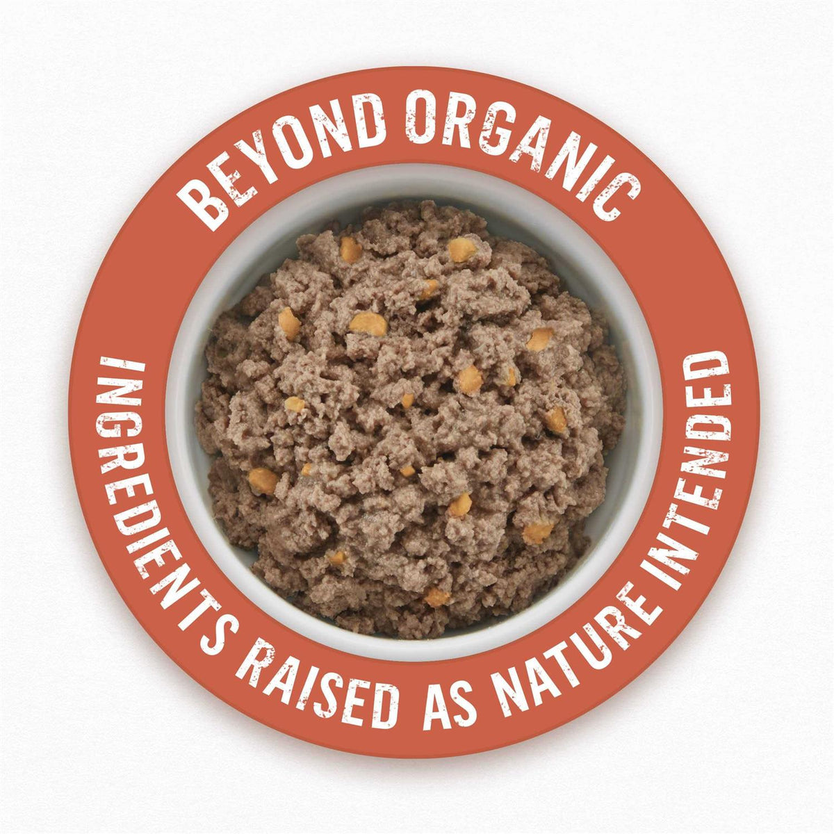 Organic Chicken Recipe Wet Dog Food K218