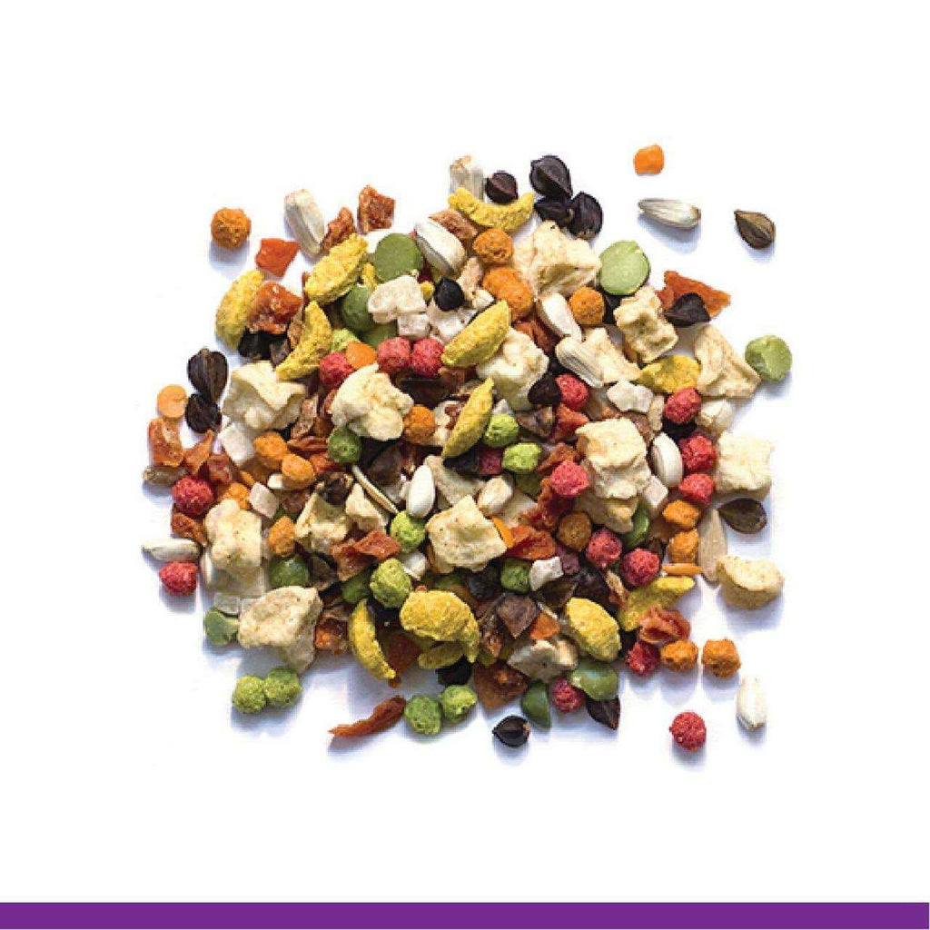 Pure Fun Bird Food A402