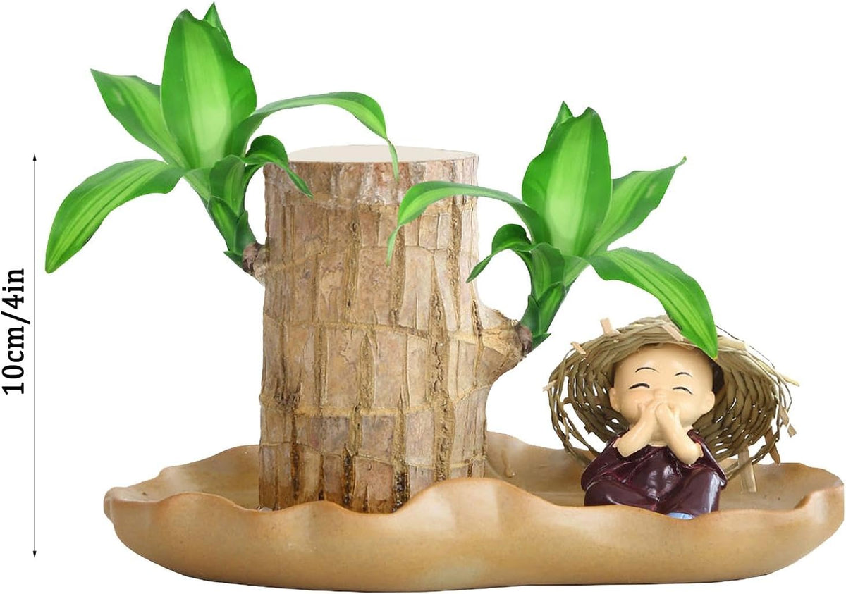 Brazilian Wood Plant V31581