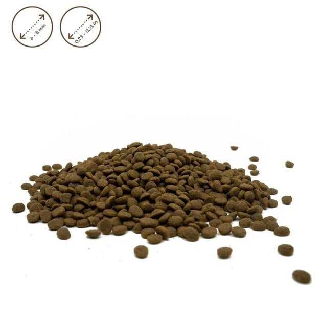 Grain Free Dry Dog Food E811
