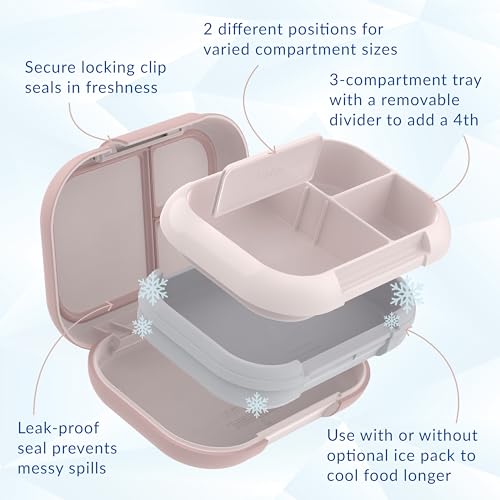 XL Leak-Proof Bento Lunch Box with Ice Pack, 5-Cup, 3 or 4 Compartment, BPA-Free, Dishwasher Safe P138