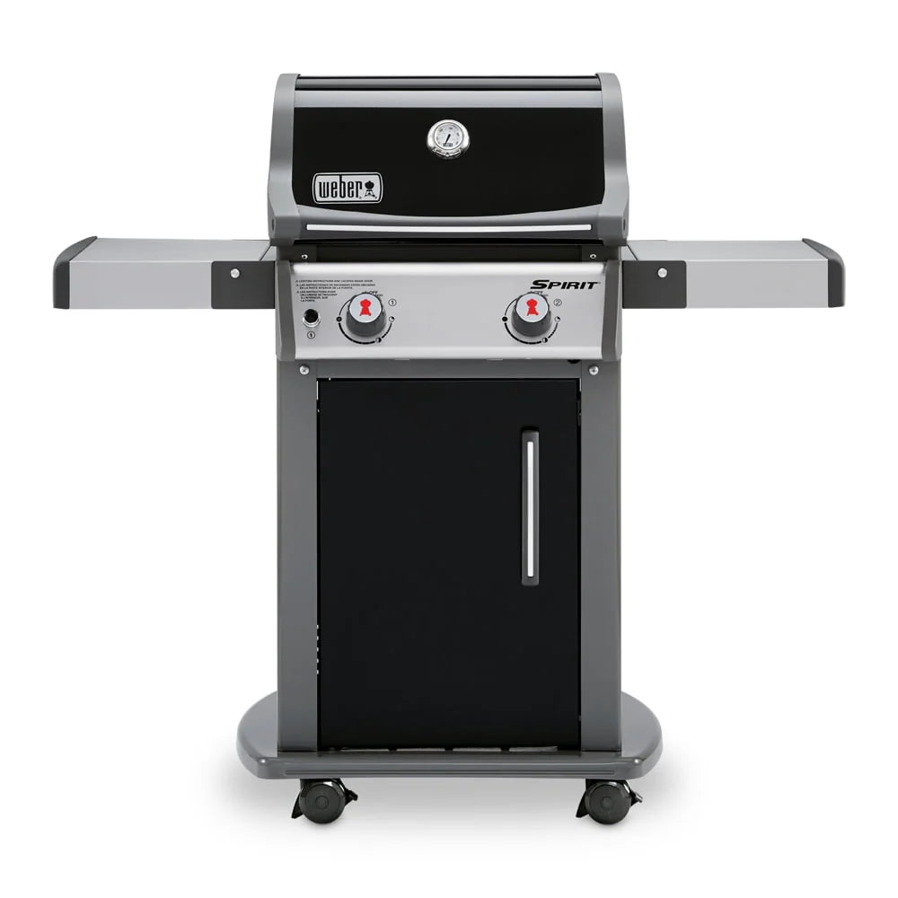 2-Burner Liquid Propane Gas Grill in Black D448876