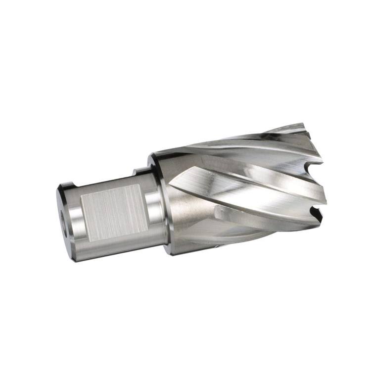1-1/16x22 x 2x22 Carbide Tipped Annular Cutter K337303