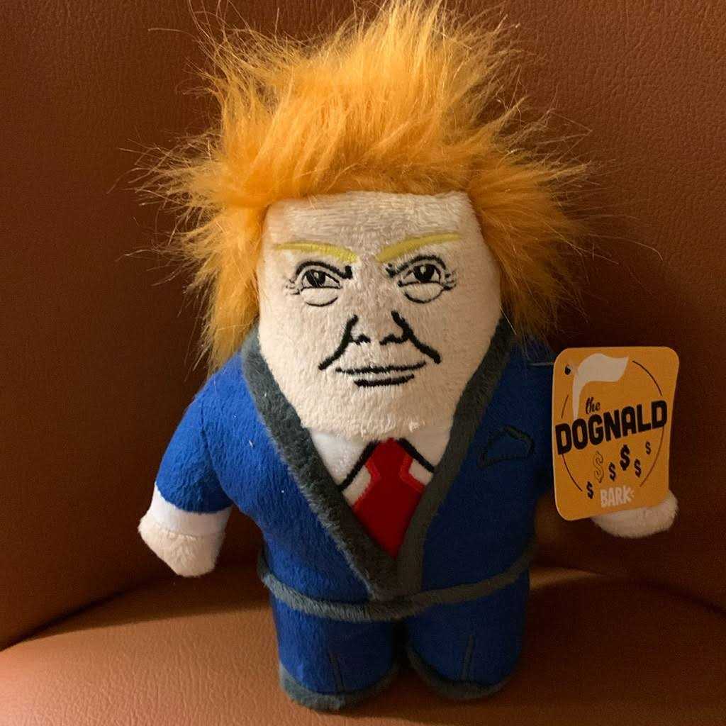 Dog Toy with Squeaker E3154