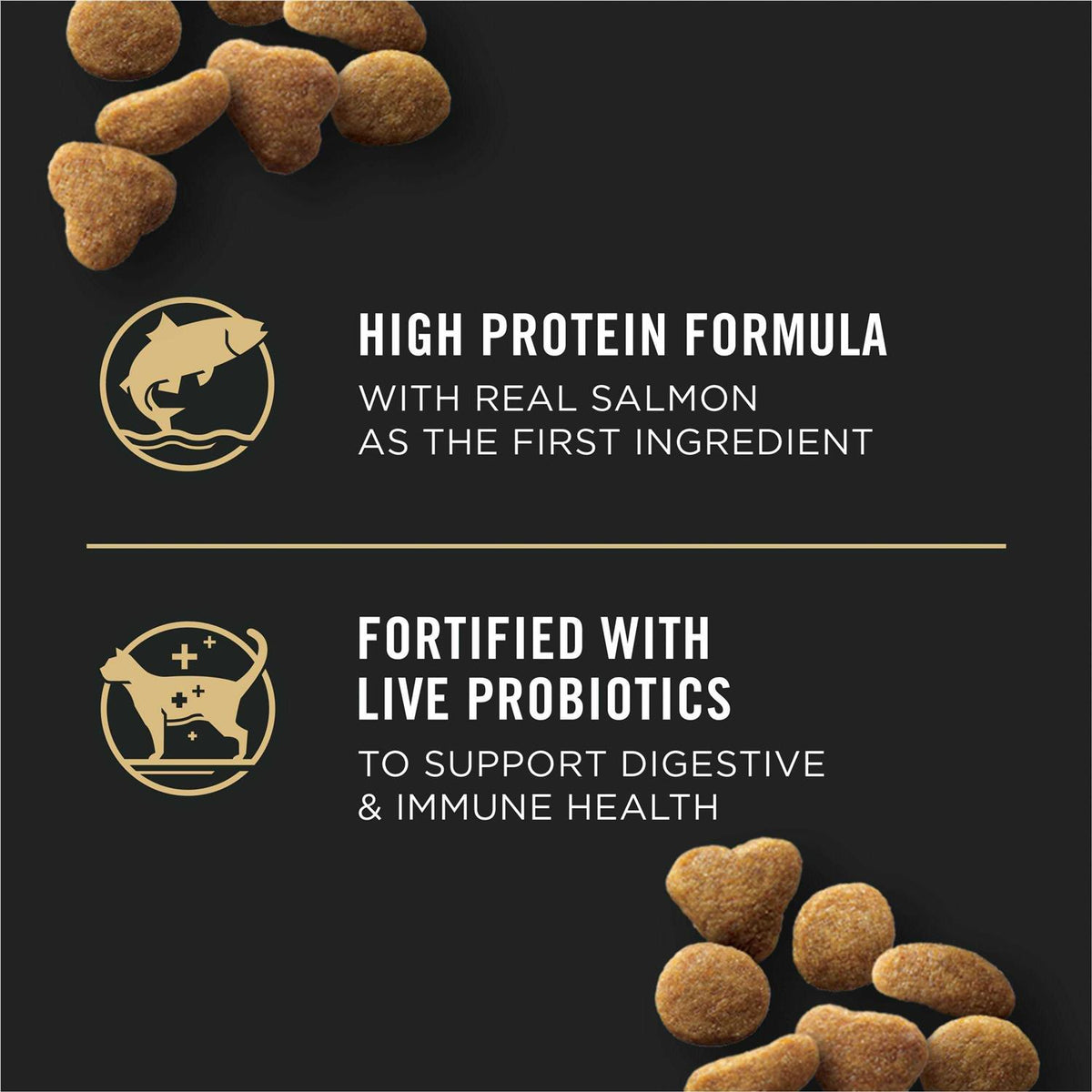 Salmon & Rice Formula Dry Cat Food H723327
