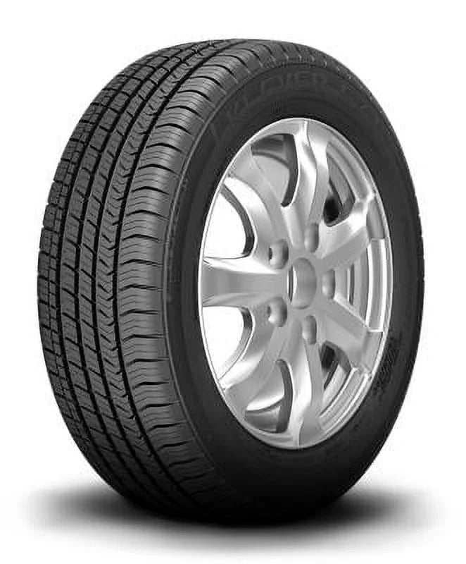 All Season Passenger Tire W6701