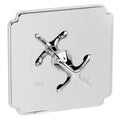Satin Gold Balanced Pressure Shower Trim Plate with Lever Handle G5122